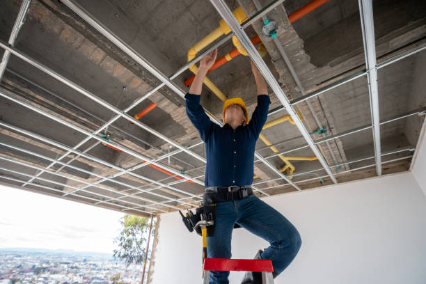 Best Emergency Plumber  in Hilton, NY